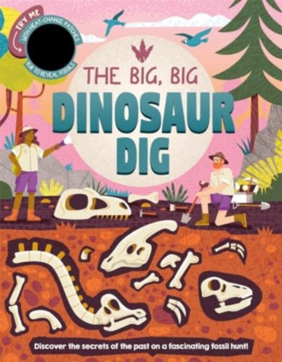 Kniha Big, Big Dinosaur Dig
