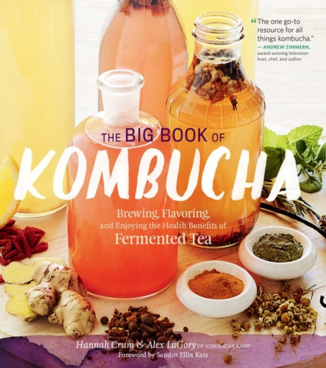 Kniha Big Book of Kombucha