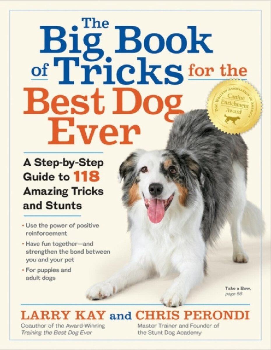 Kniha Big Book of Tricks for the Best Dog Ever