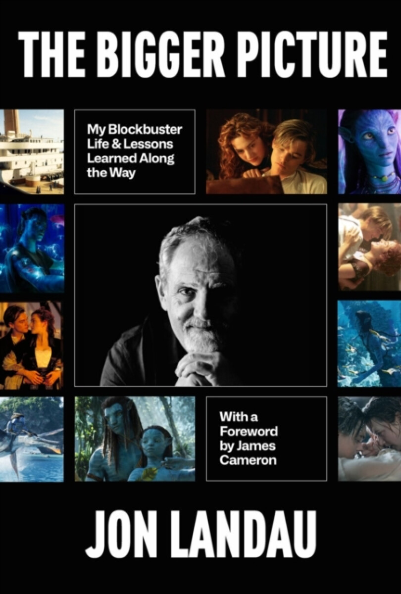 Kniha Bigger Picture