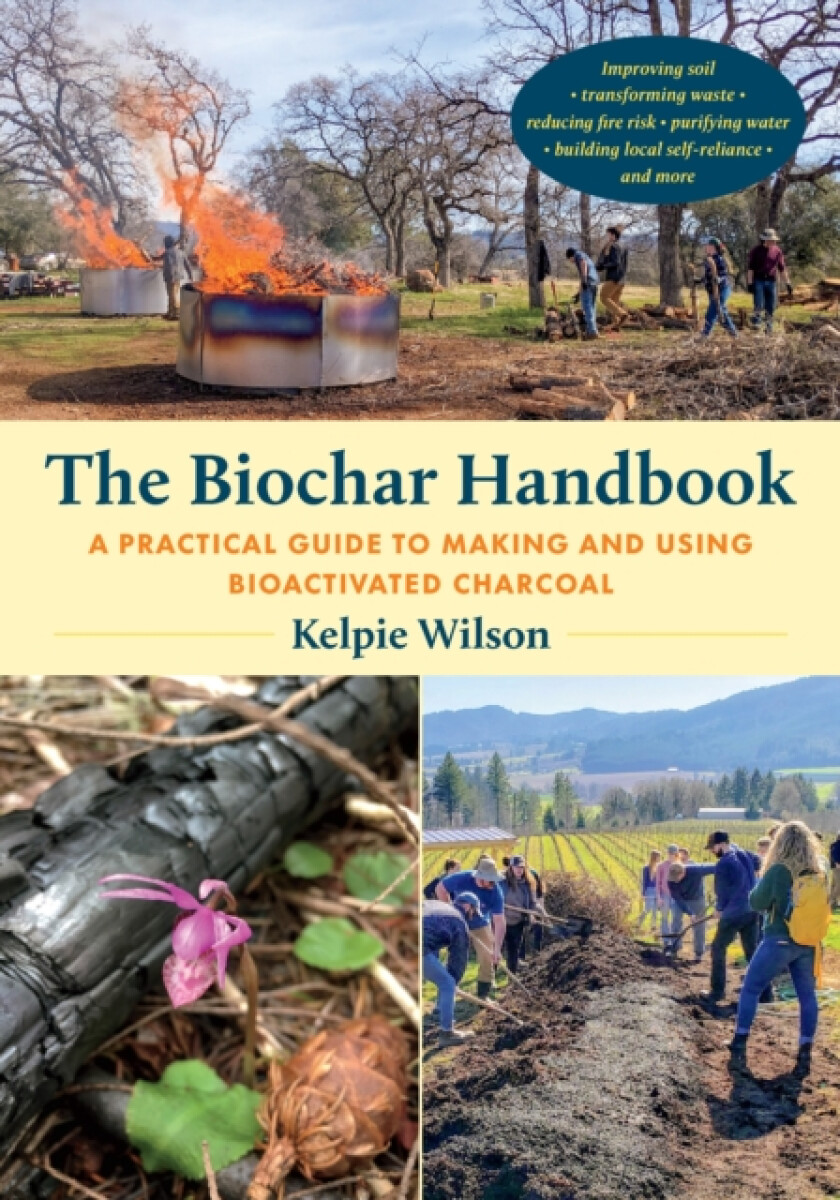 Kniha Biochar Handbook