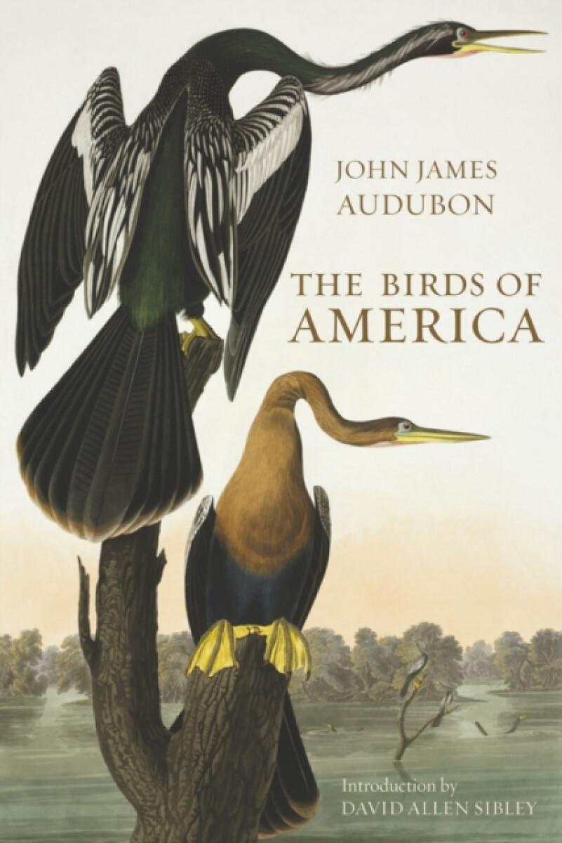 Kniha Birds of America