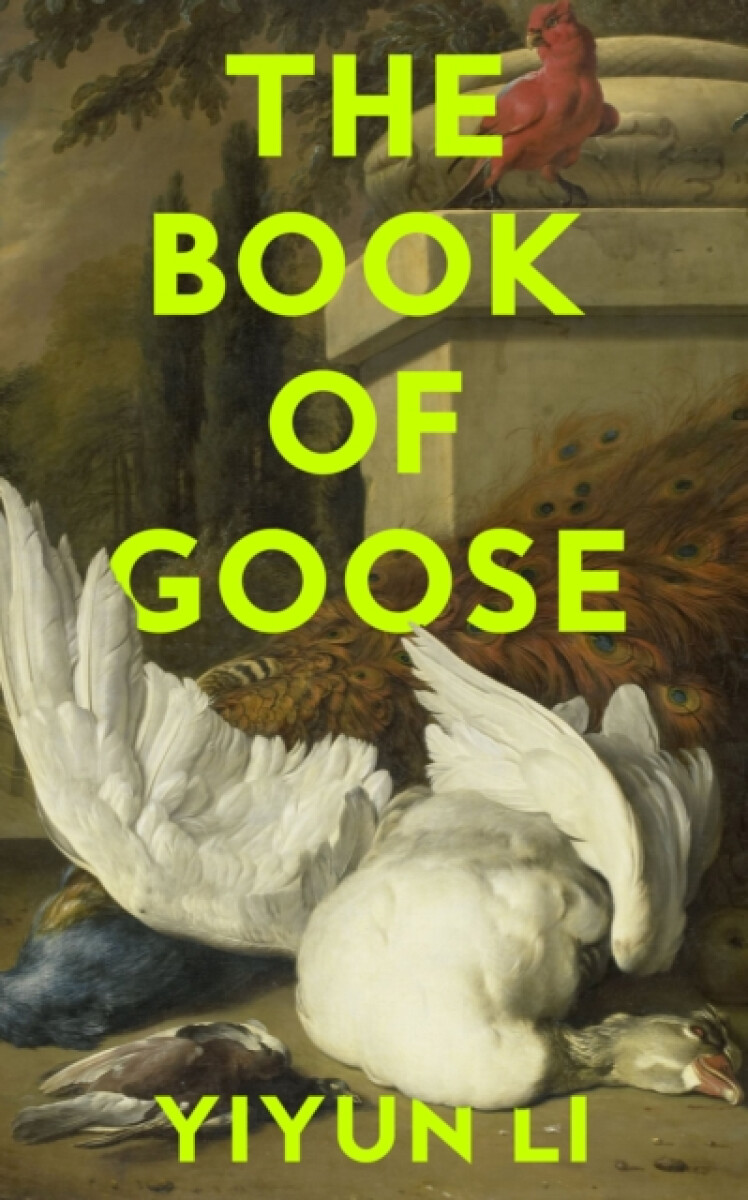 Kniha Book of Goose
