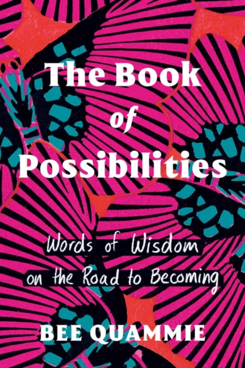 Kniha Book of Possibilities