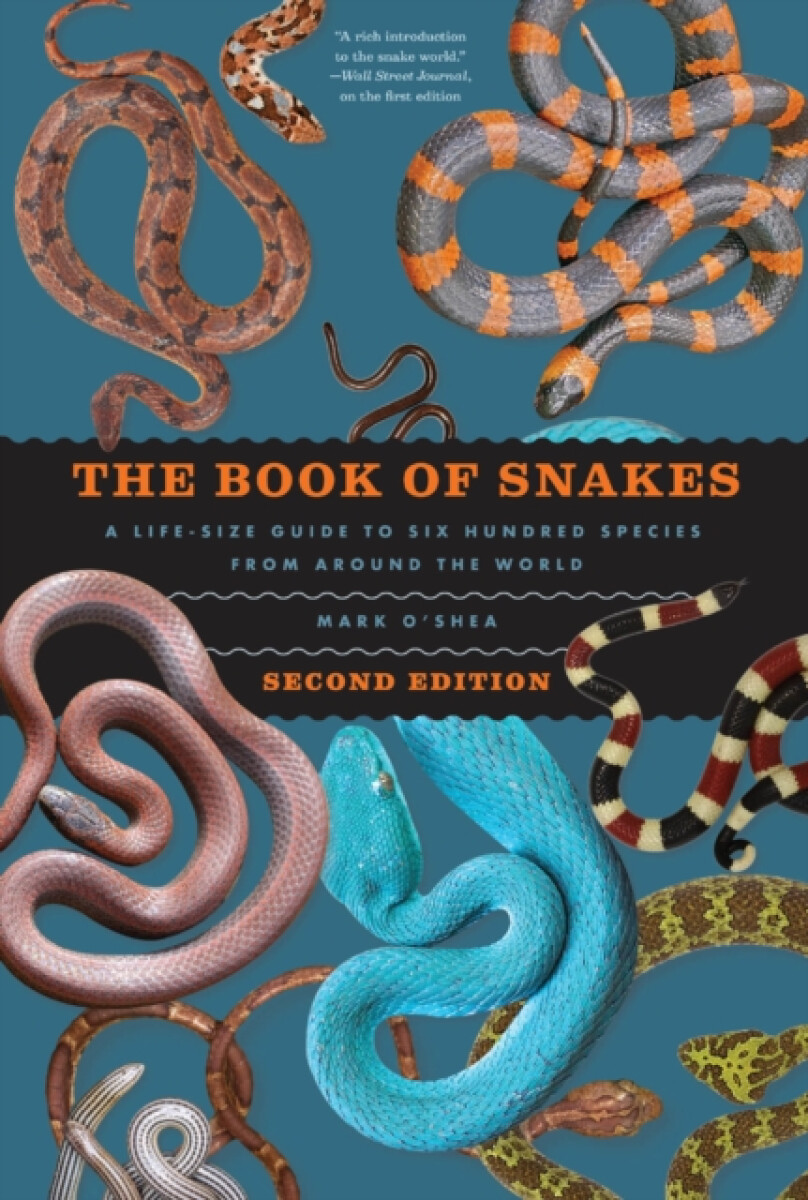 Kniha Book of Snakes