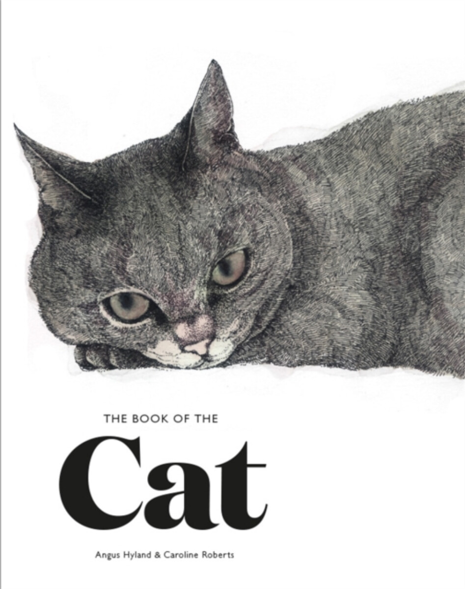Kniha Book of the Cat