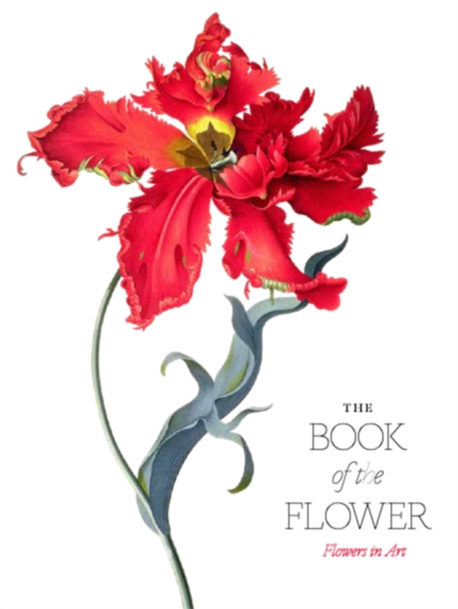Kniha Book of the Flower