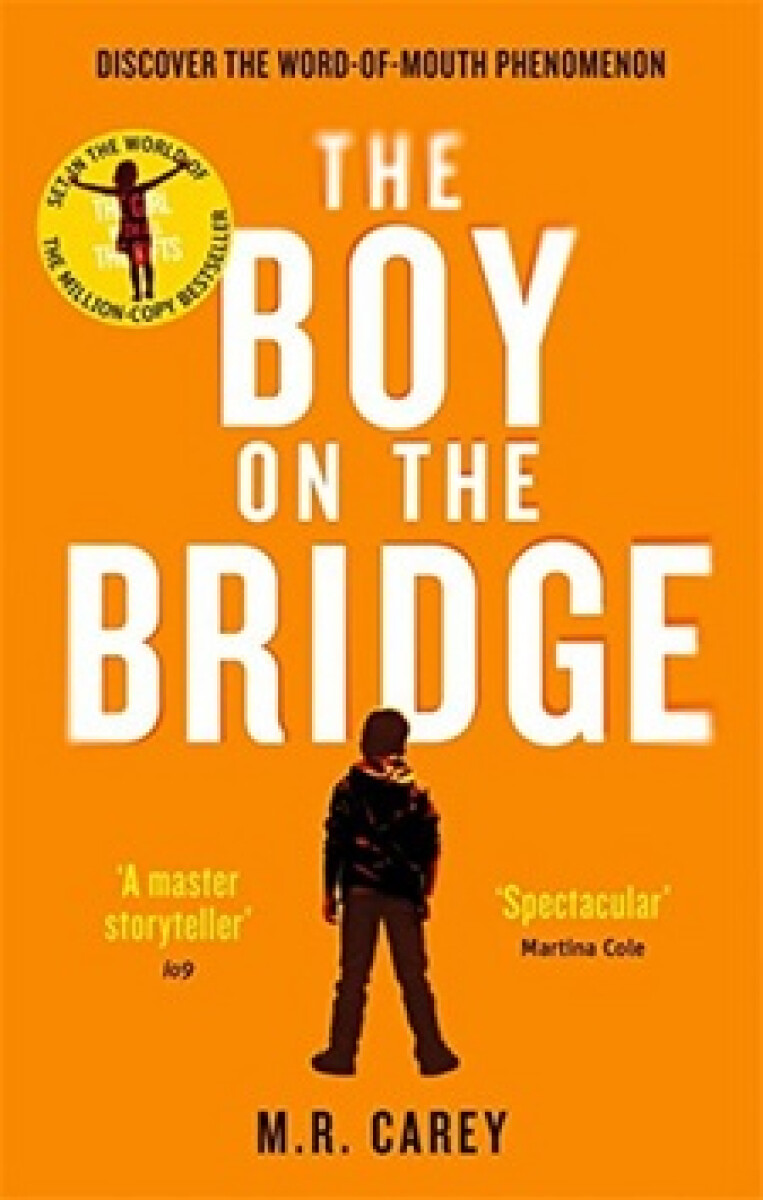 Kniha The Boy on the Bridge