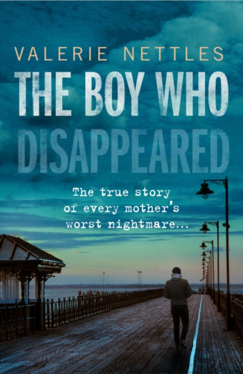 Kniha Boy Who Disappeared