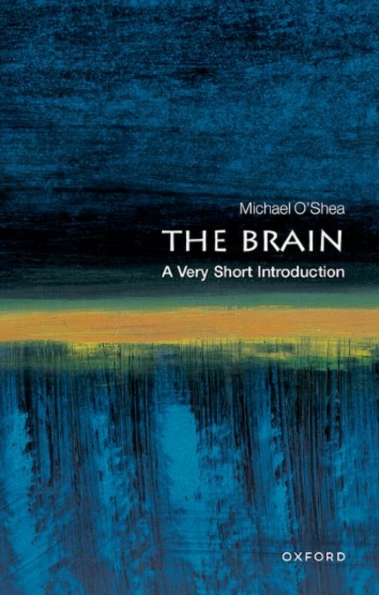 Kniha Brain: A Very Short Introduction