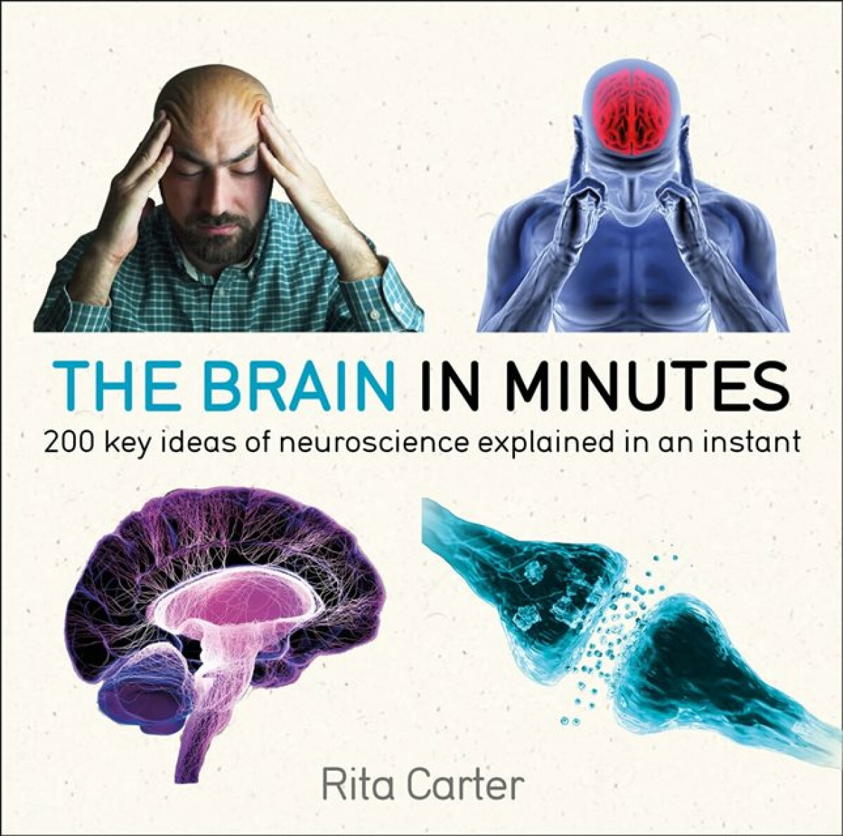 Kniha The Brain in Minutes