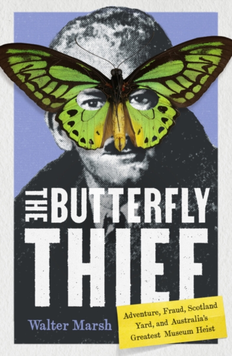 Kniha Butterfly Thief