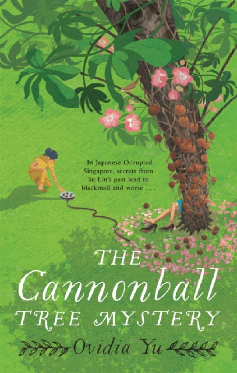 Kniha Cannonball Tree Mystery