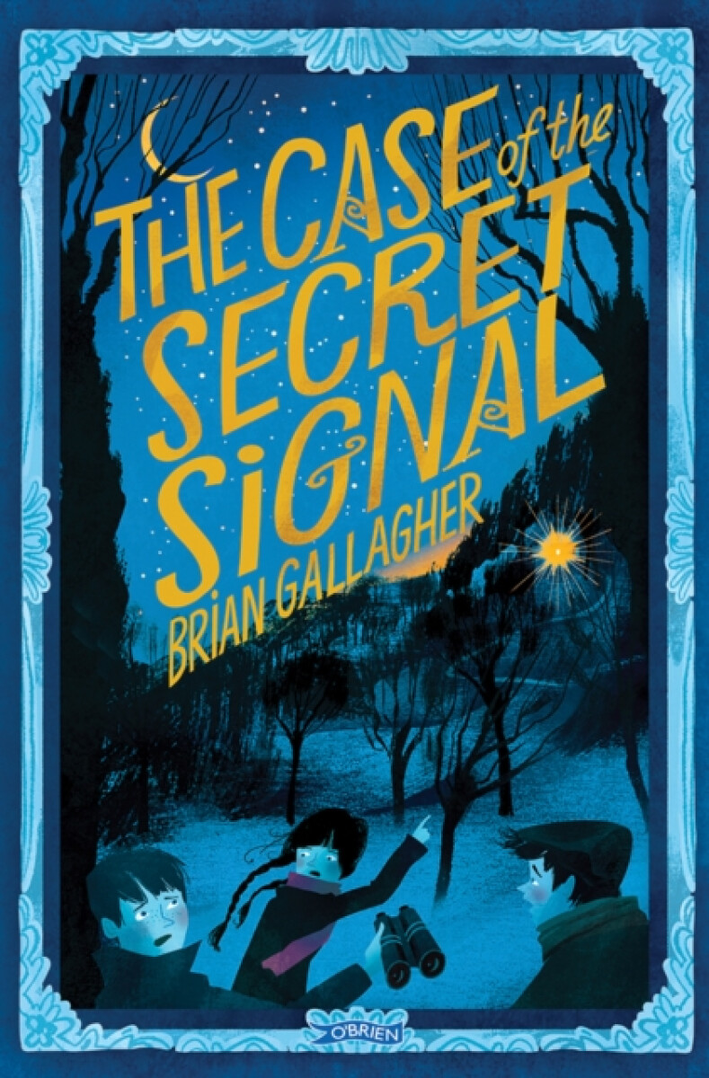 Kniha Case of the Secret Signal