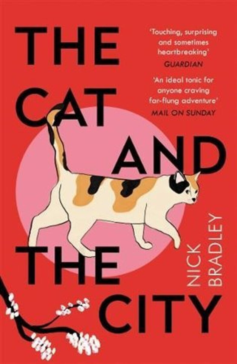 Kniha The Cat and The City