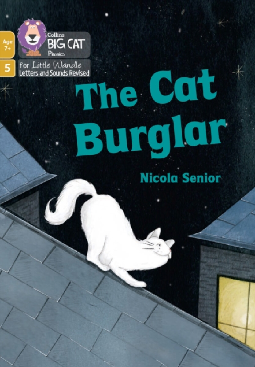 Kniha Cat Burglar