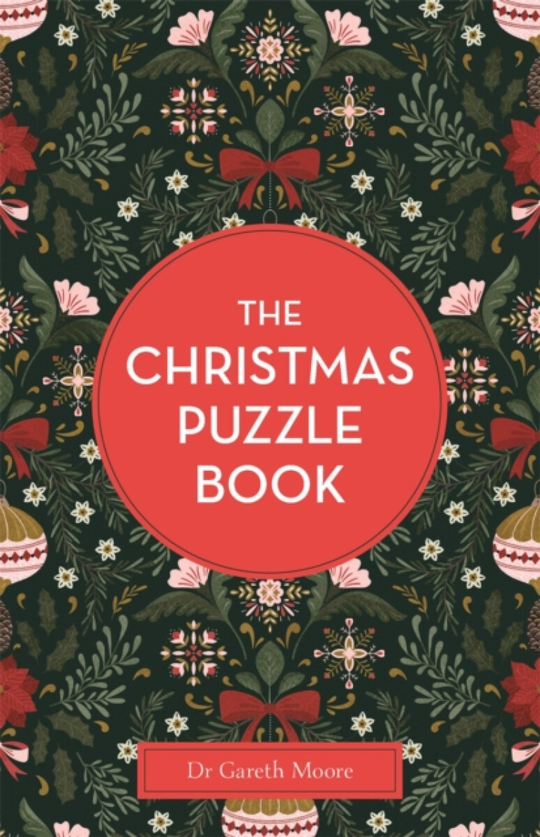 Kniha Christmas Puzzle Book