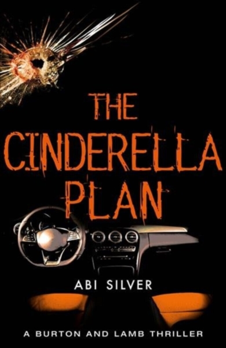 Kniha The Cinderella Plan