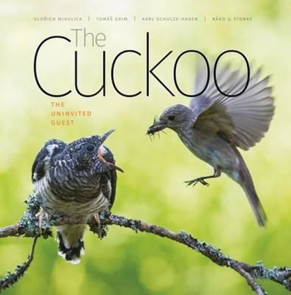 Kniha Cuckoo