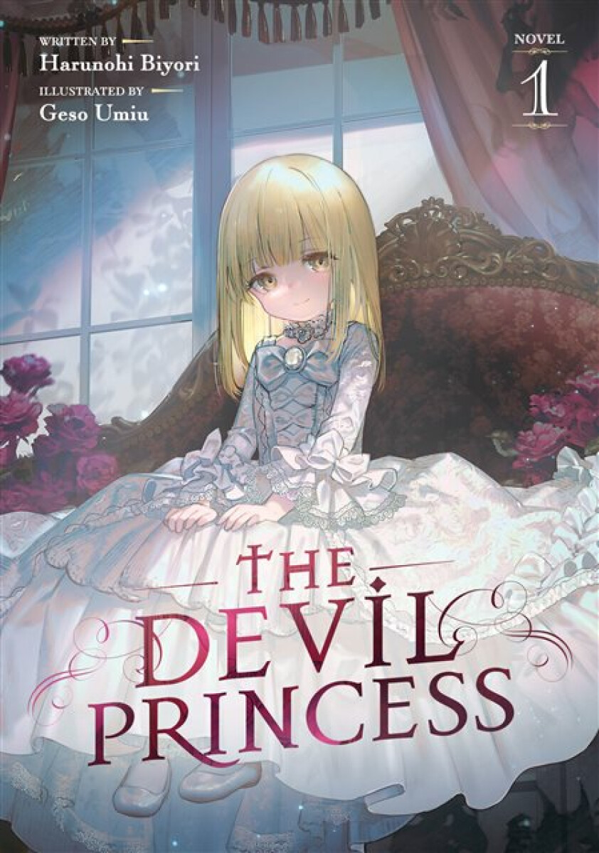 Kniha Devil Princess (Light Novel) Vol. 1