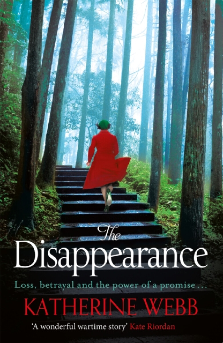 Kniha Disappearance