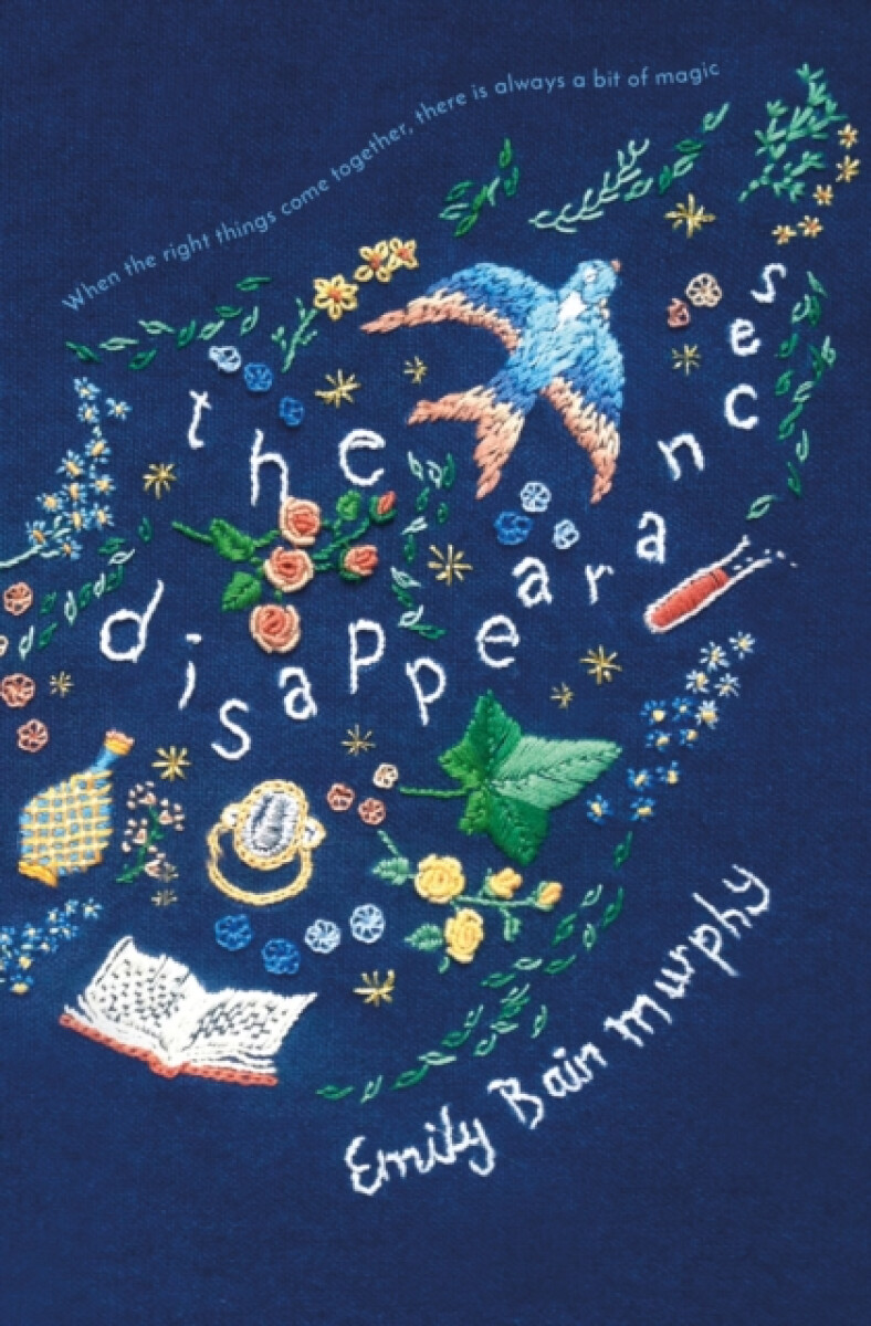 Kniha Disappearances