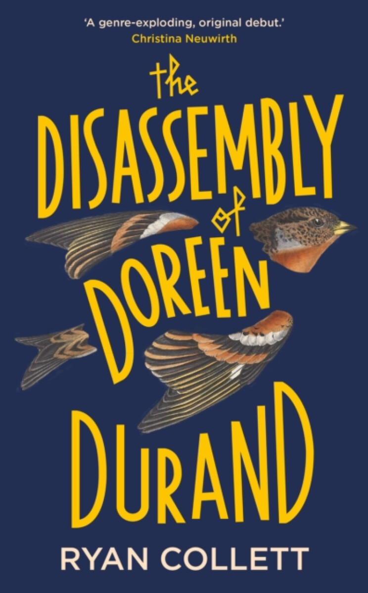 Kniha Disassembly of Doreen Durand