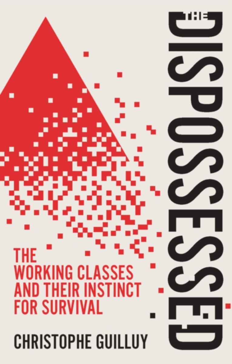 Kniha Dispossessed