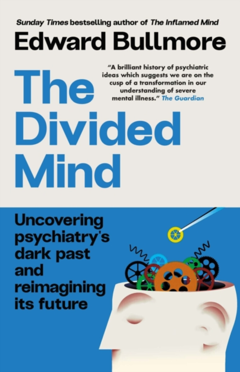 Kniha The Divided Mind