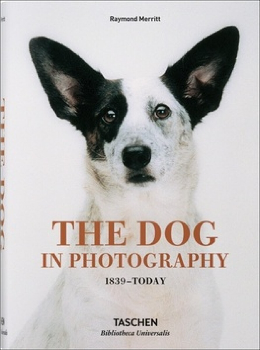 Kniha The Dog in Photography