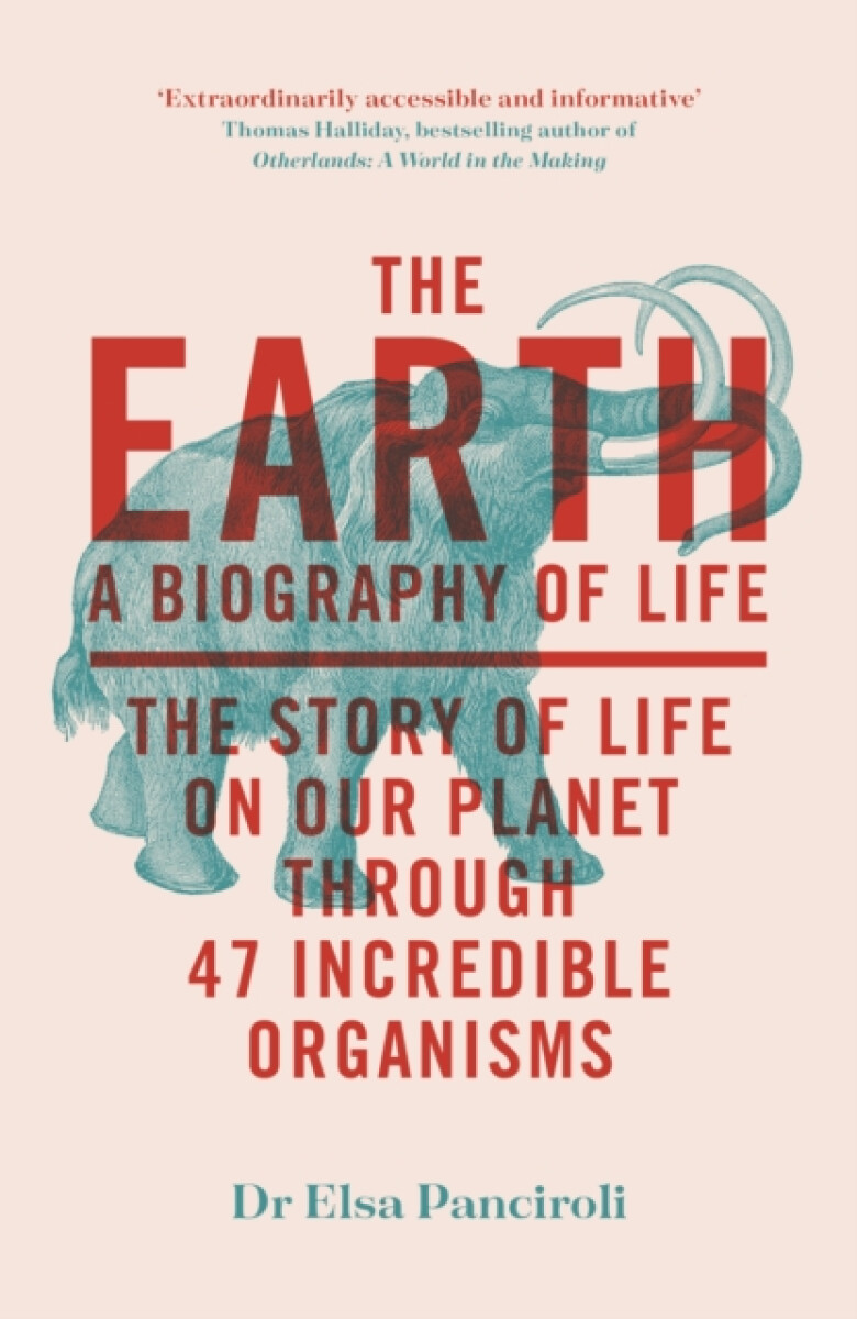 Levně The Earth - Dr Elsa Panciroli