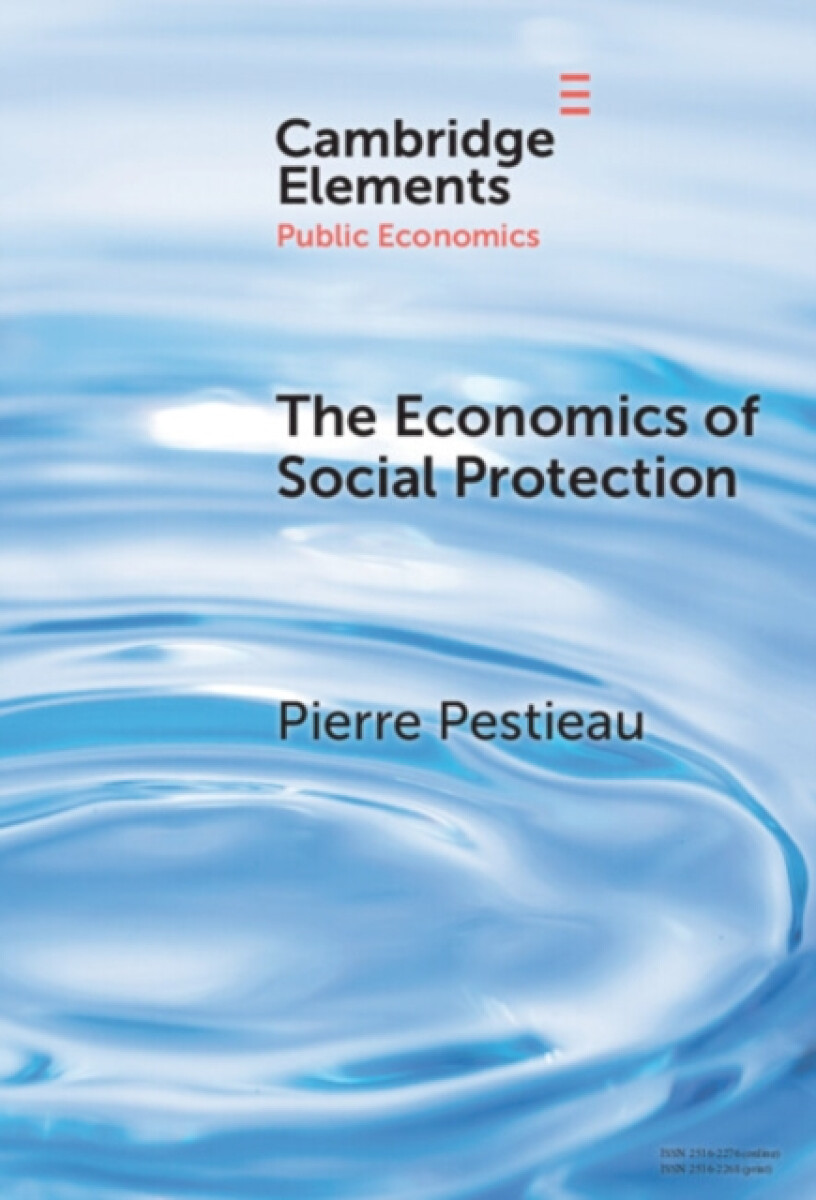 Kniha Economics of Social Protection