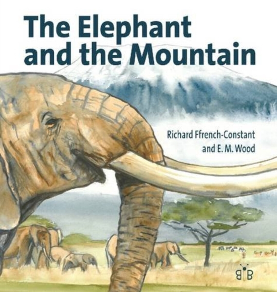 Kniha Elephant and the Mountain