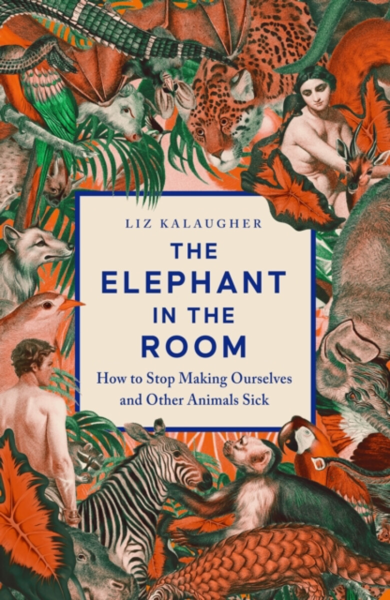 Kniha The Elephant in the Room