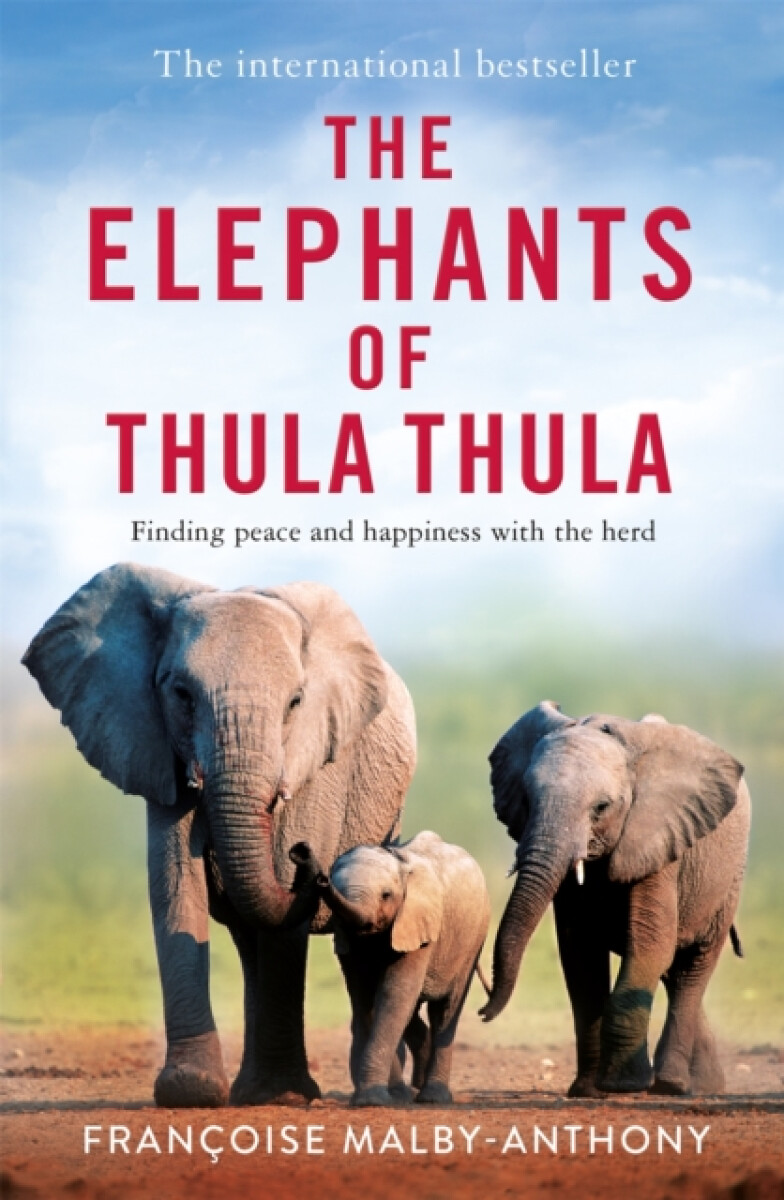 Kniha Elephants of Thula Thula