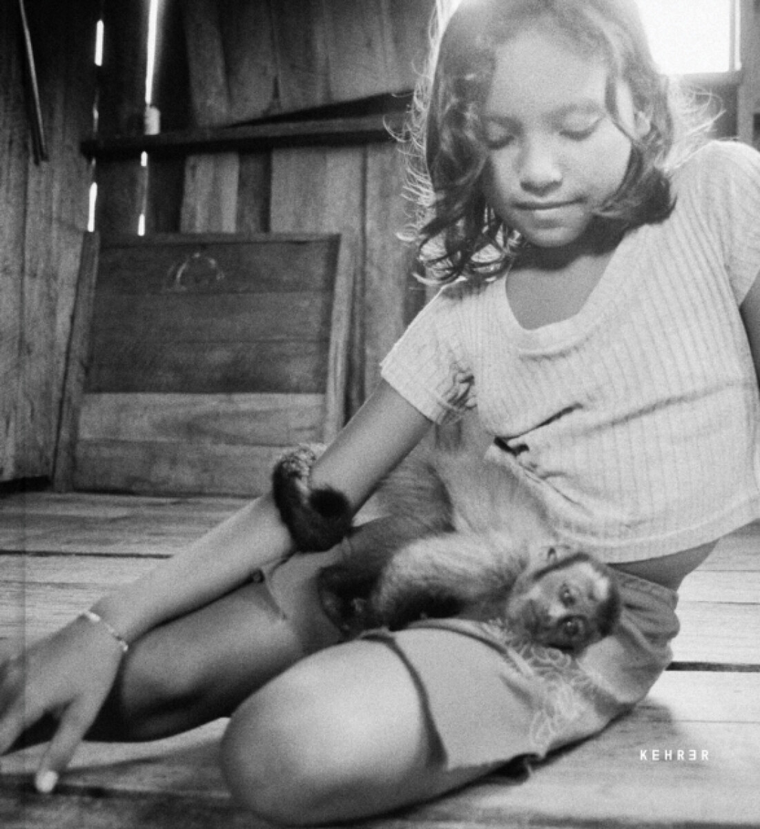 Kniha Enchanted Ones