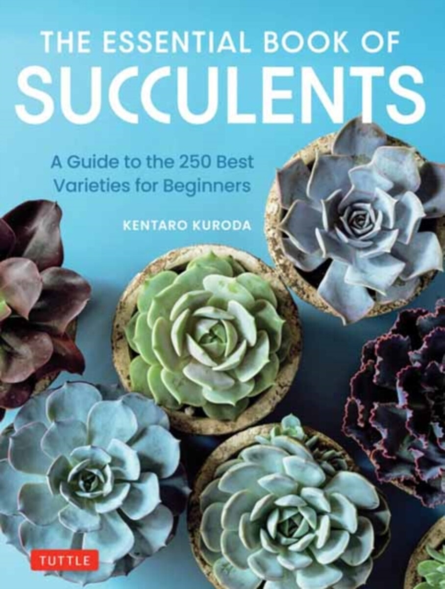 Kniha Essential Book of Succulents