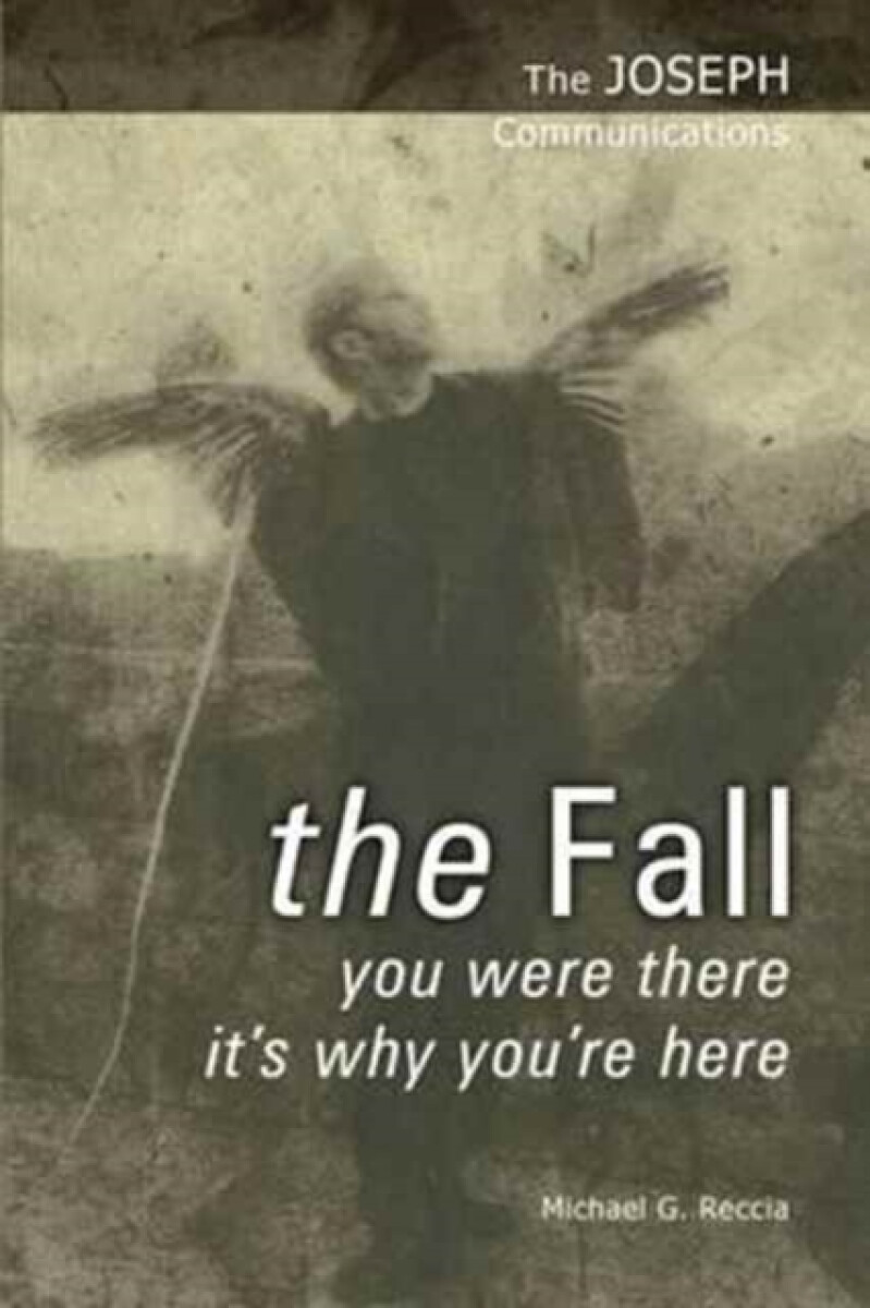The Fall - Michael G. Reccia