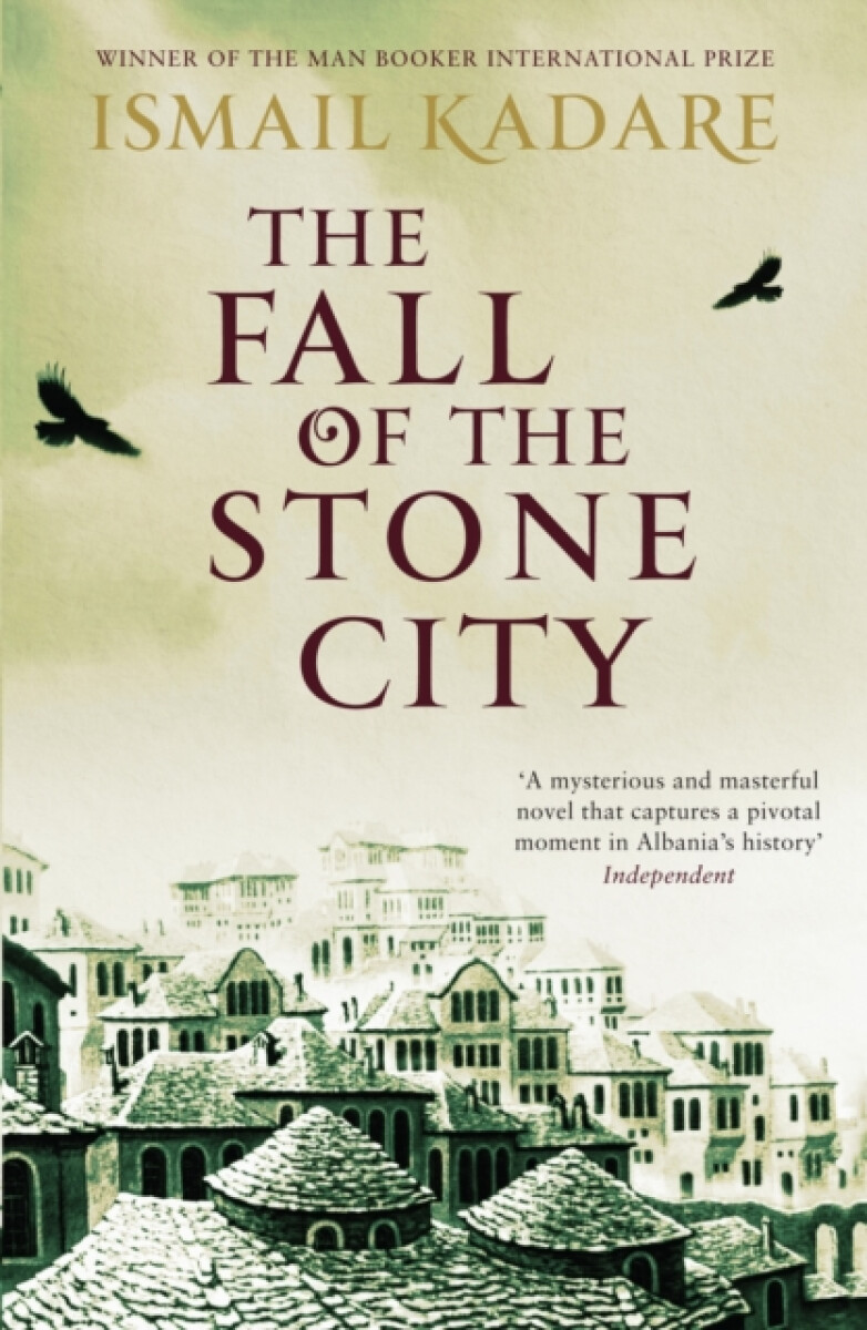 Kniha Fall of the Stone City