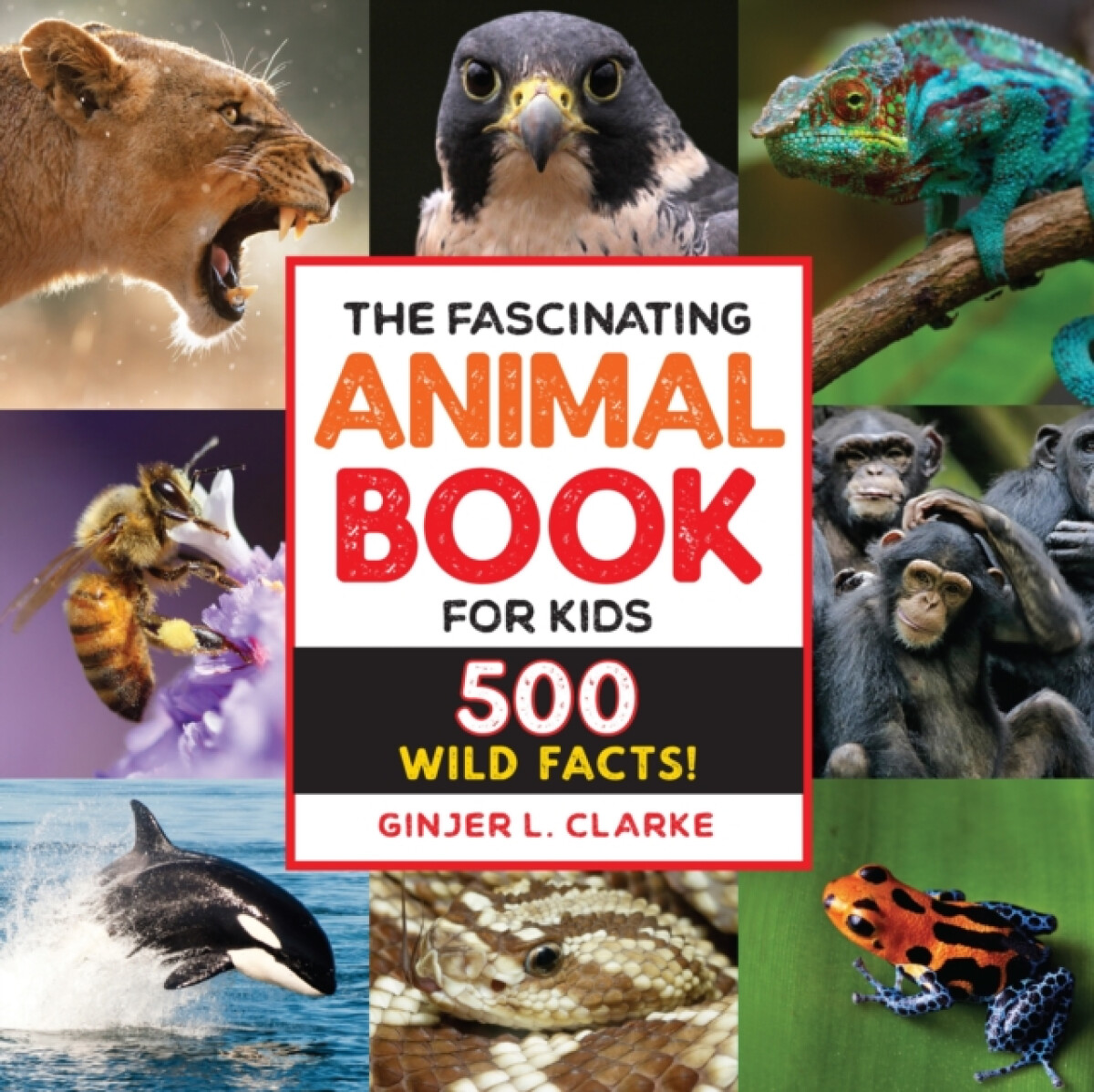 Kniha Fascinating Animal Book for Kids