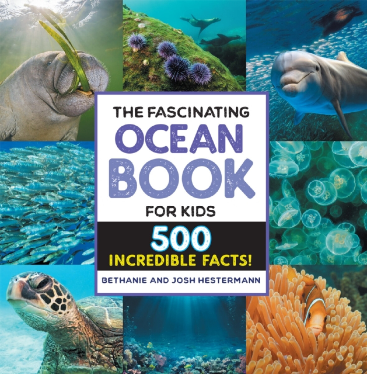 Kniha Fascinating Ocean Book for Kids