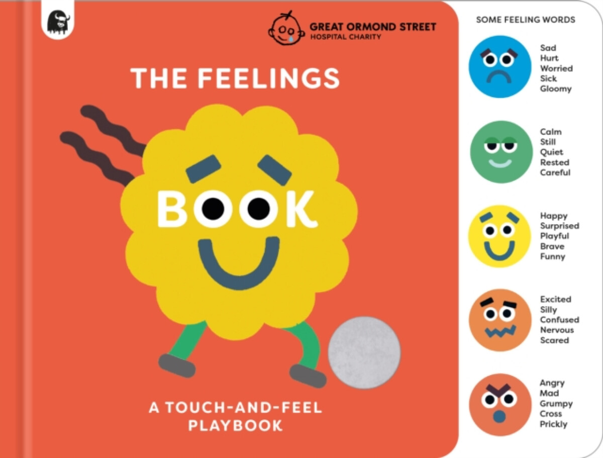 Kniha The Feelings Book: Touch-and-Feel Emotions
