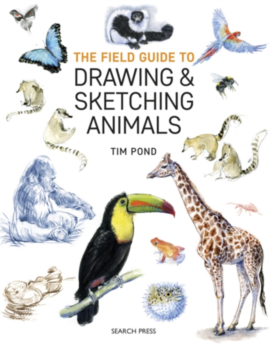 Kniha Field Guide to Drawing a Sketching Animals