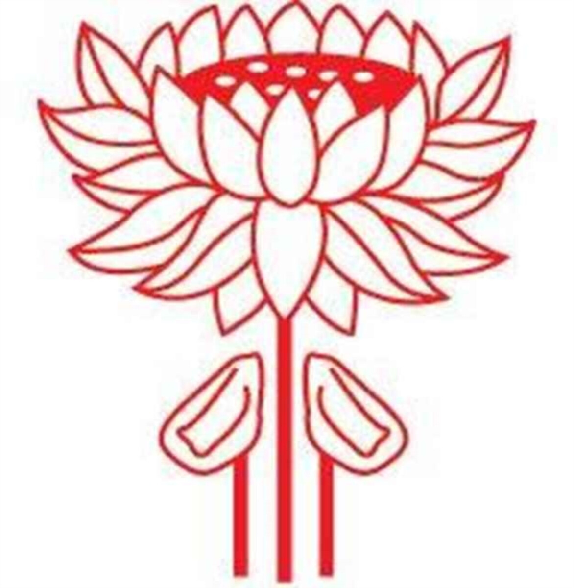 Kniha The Fifth Tiger