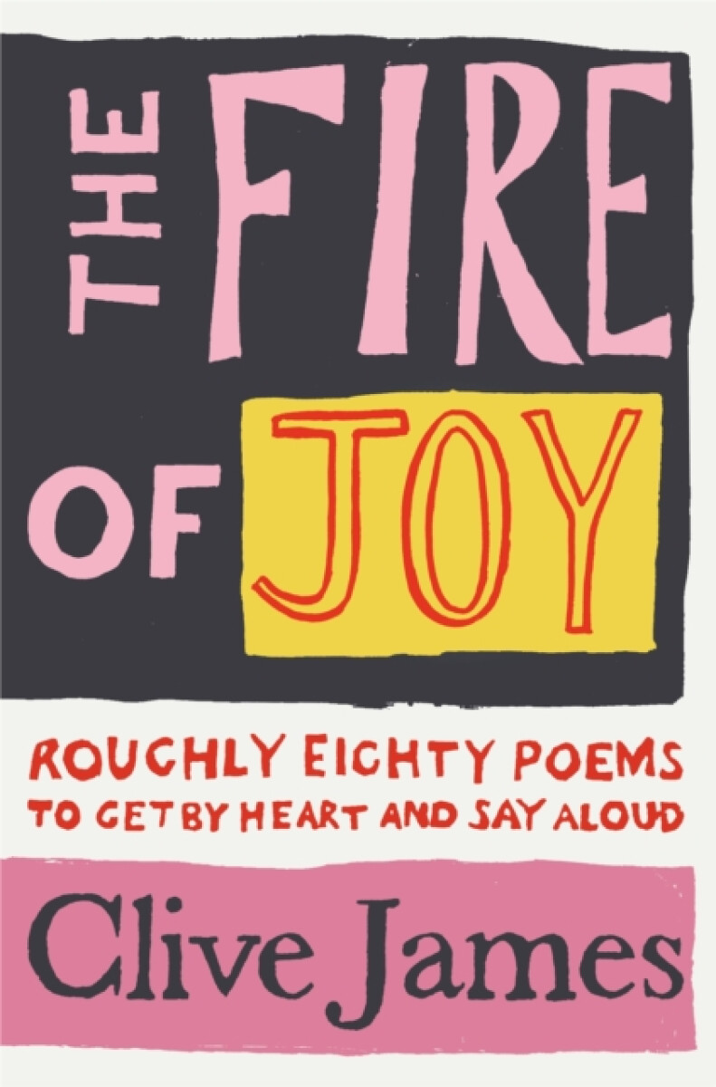 Kniha Fire of Joy