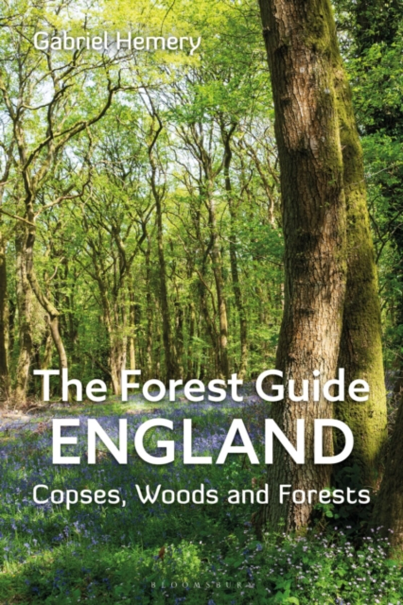 Kniha Forest Guide: England