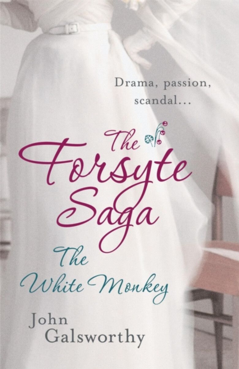 Kniha Forsyte Saga 4: The White Monkey