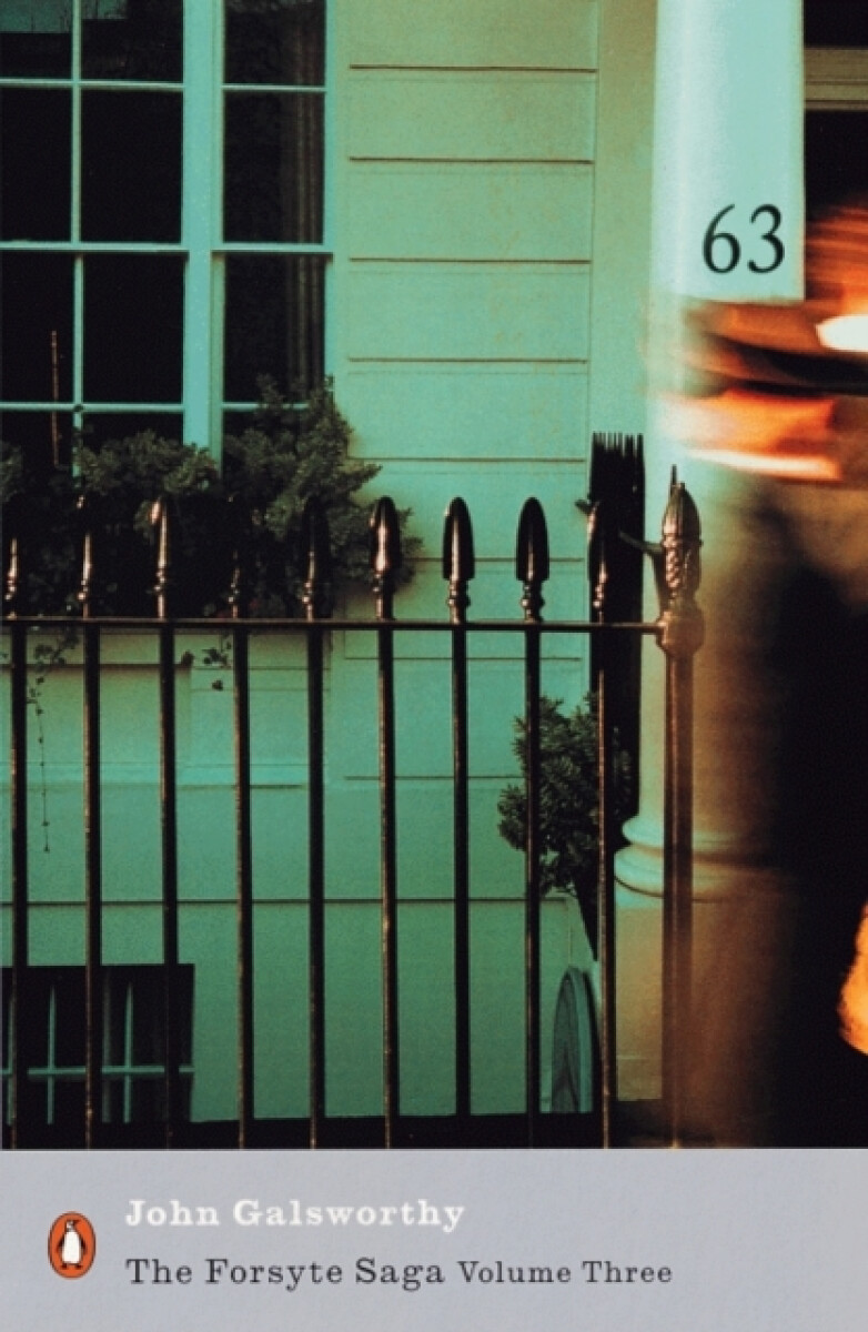 Kniha The Forsyte Saga 3
