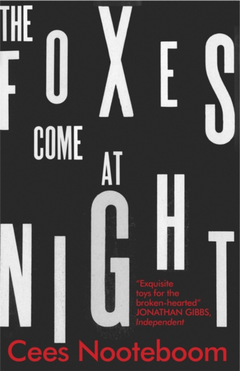 Kniha Foxes Come at Night