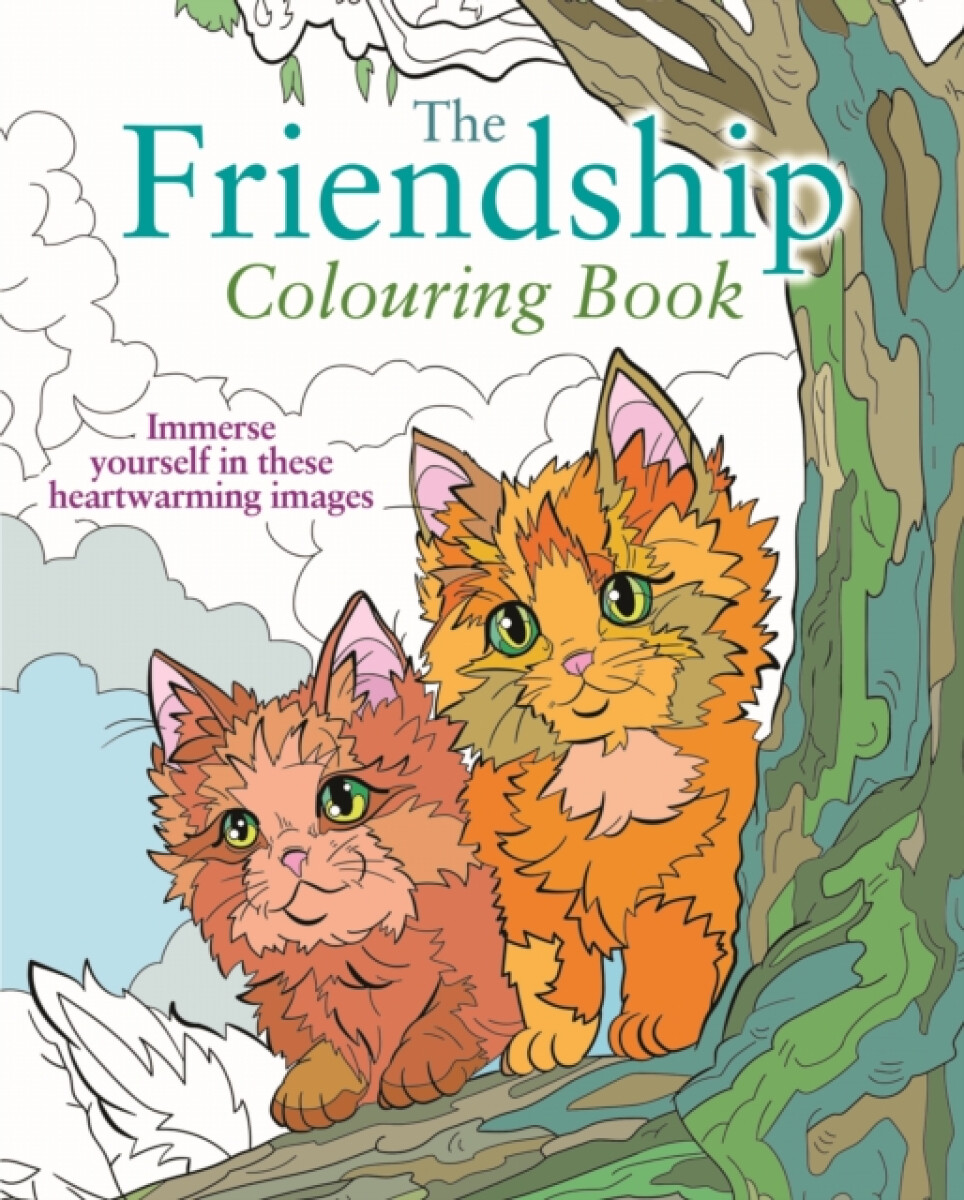 Kniha Friendship Colouring Book